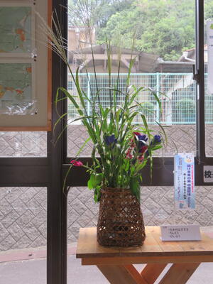 たかのはすすき ・りんどう ・けいとう